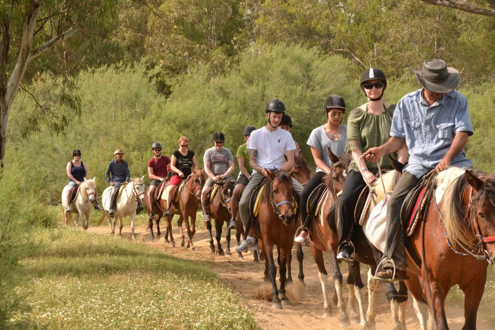 Bodrum Horse Riding Adventure | ®ExcursionMania