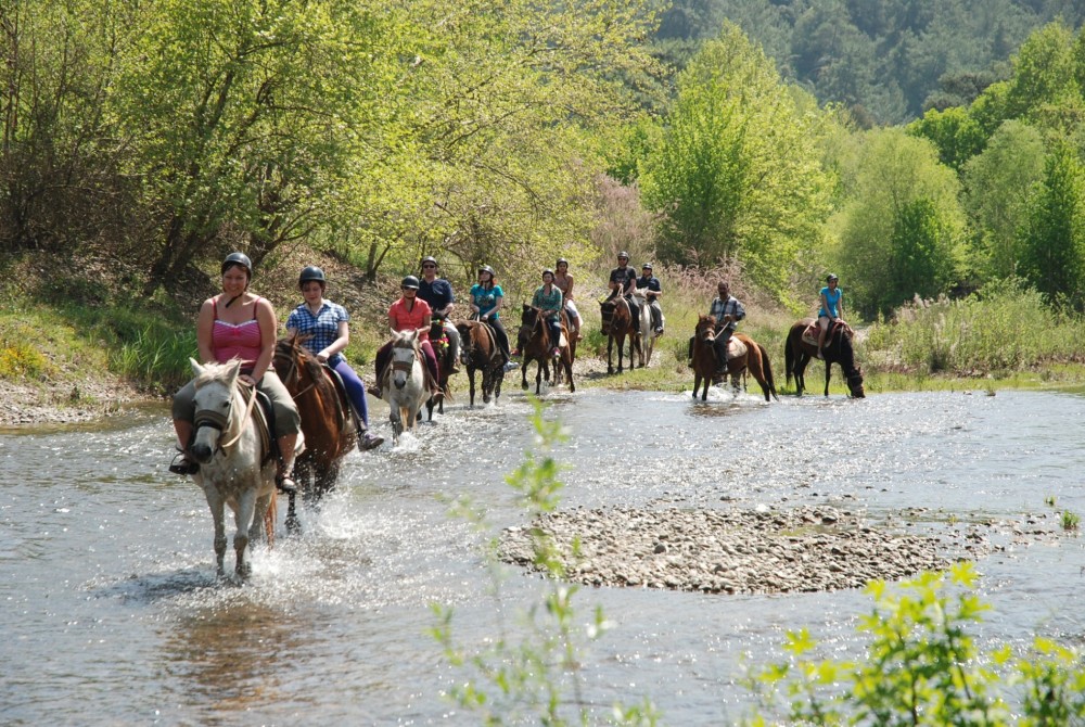 Bodrum Horse Riding Adventure | ®ExcursionMania