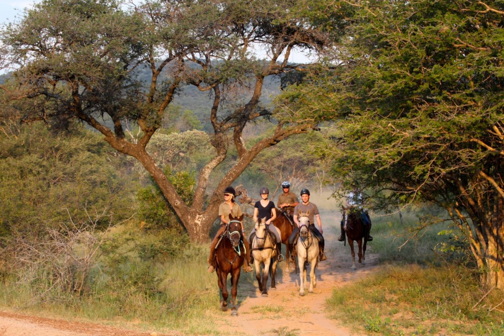 Bodrum Horse Riding Adventure | ®ExcursionMania