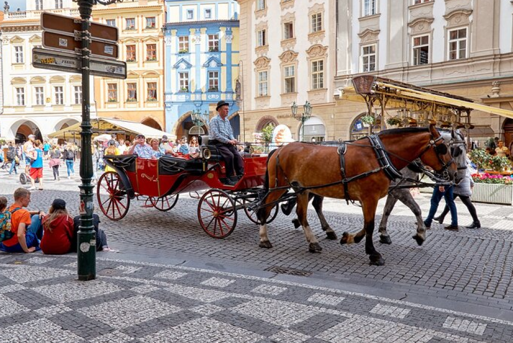 Best of Prague: Private City Walking Tour Boat Cruise and Czech Lunch | ®ExcursionMania