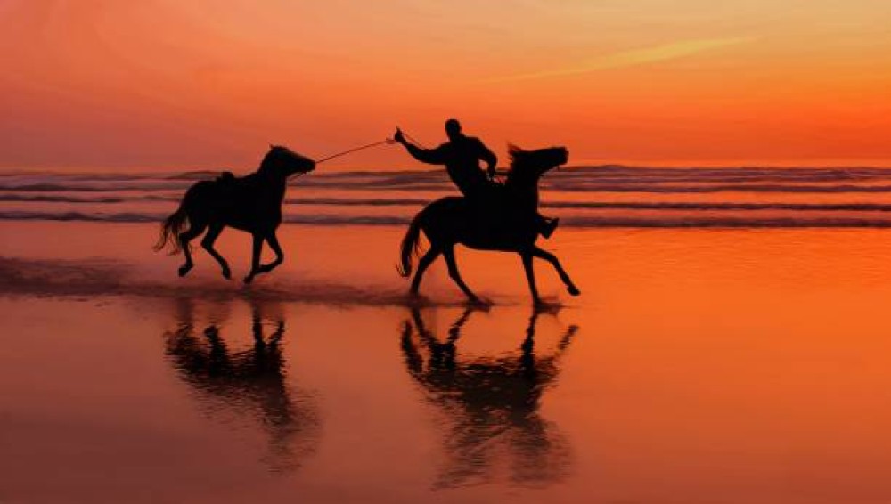 From Marrakech to the Atlantic: Agadir Day Tour with Seaside Fun | ®ExcursionMania