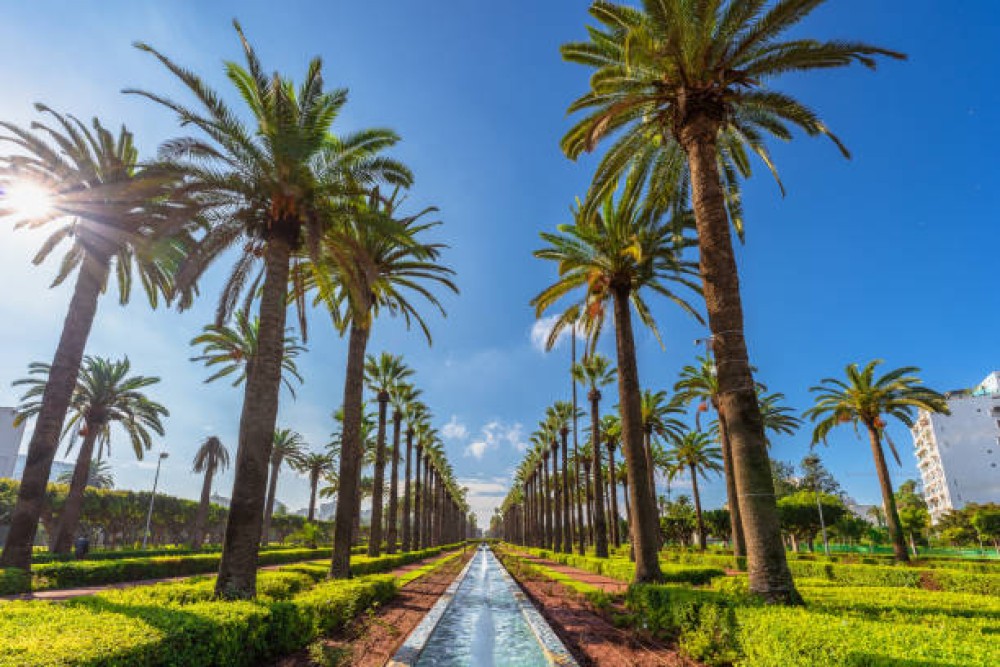 From Marrakech to the Atlantic: Casablanca Day Escape | ®ExcursionMania