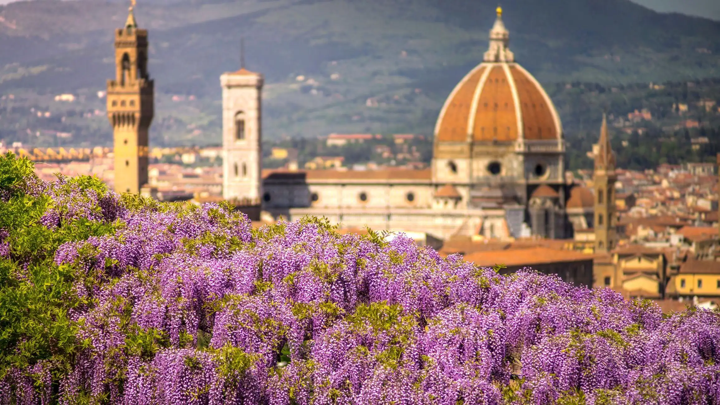 Best of Florence: Private Walking Tour with a Local | ®ExcursionMania