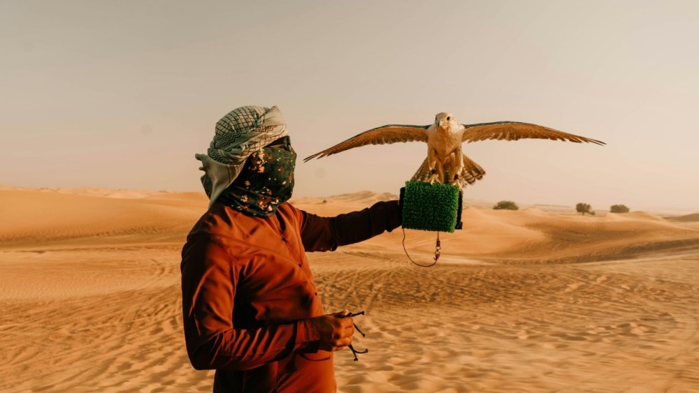 Desert Safari Dubai with BBQ Dinner | ®ExcursionMania