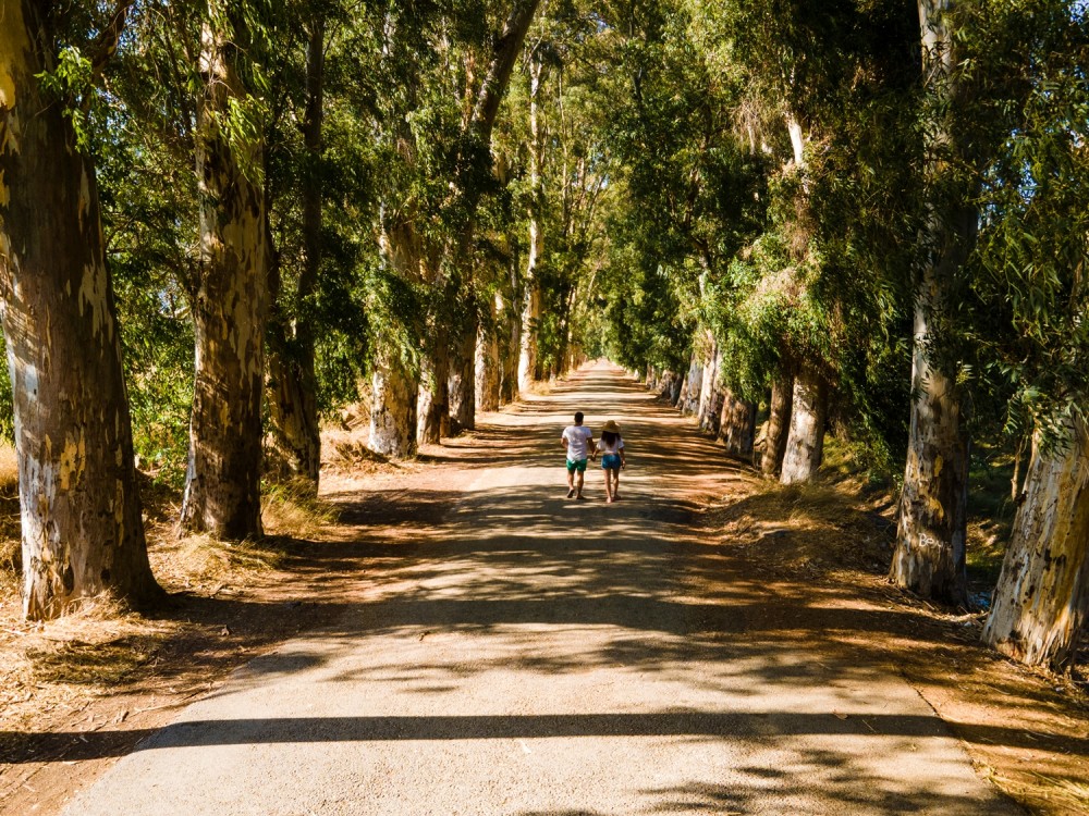 Marmaris Yuvarlakçay Private Tour: Tranquility Awaits | ®ExcursionMania