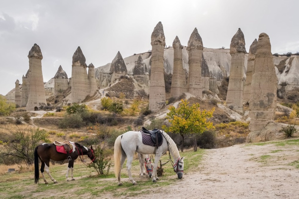 Cappadocia: Cappadocia 4-Hour Gallop Horse Tour | ®ExcursionMania