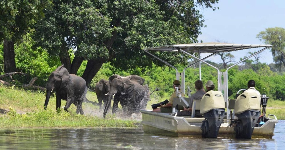 Top Things to Do in Kasane: A Complete Guide