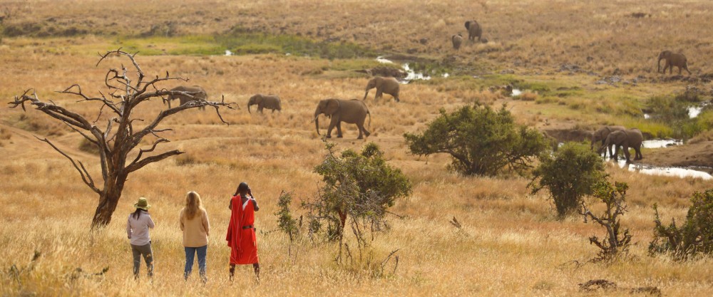 Best Places to See Wildlife in Masai Mara
