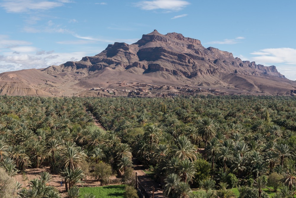 Into the Sands: The Best Desert Excursions from Ouarzazate