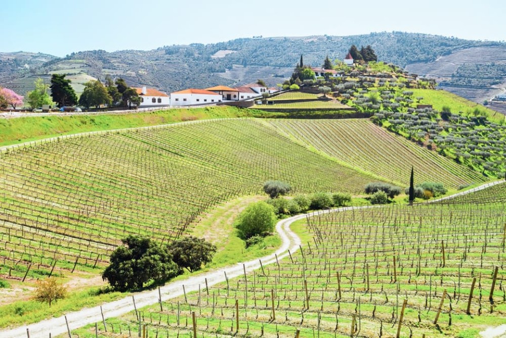 Beyond Porto: The Best Day Trips for an Unforgettable Escape