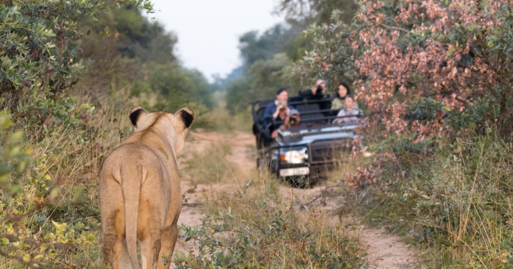 Top Things to Do at Victoria Falls: Must-See Attractions