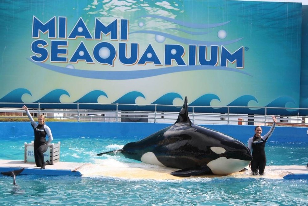 A Family-Friendly Guide to Miami: Fun for All Ages