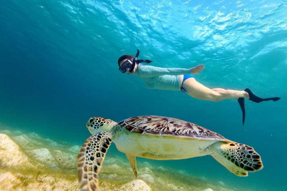 The Best Beaches in Marsa Alam: Relax, Swim, and Snorkel