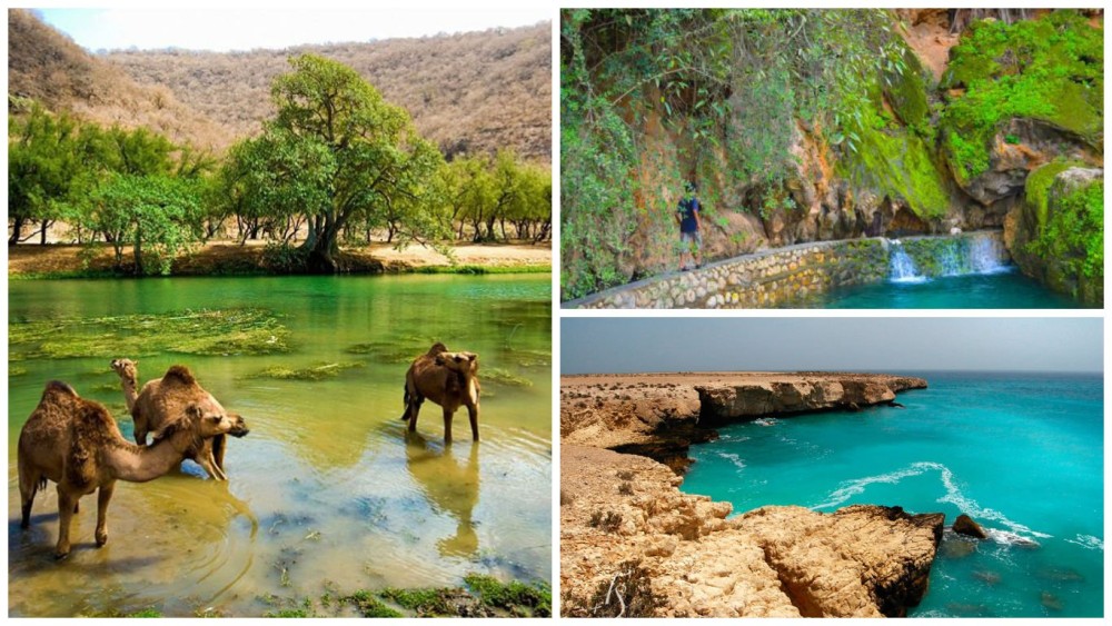A First Timer's Guide to Exploring Salalah