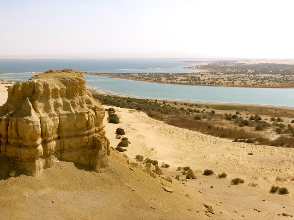 The Best Day Trips from Cairo: Pyramids, Oases, and More