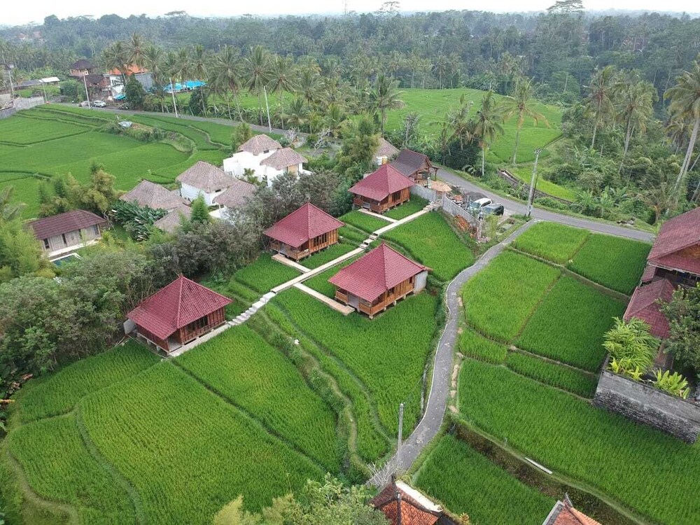 Traditional Balinese Experiences You Can’t Miss in Ubud