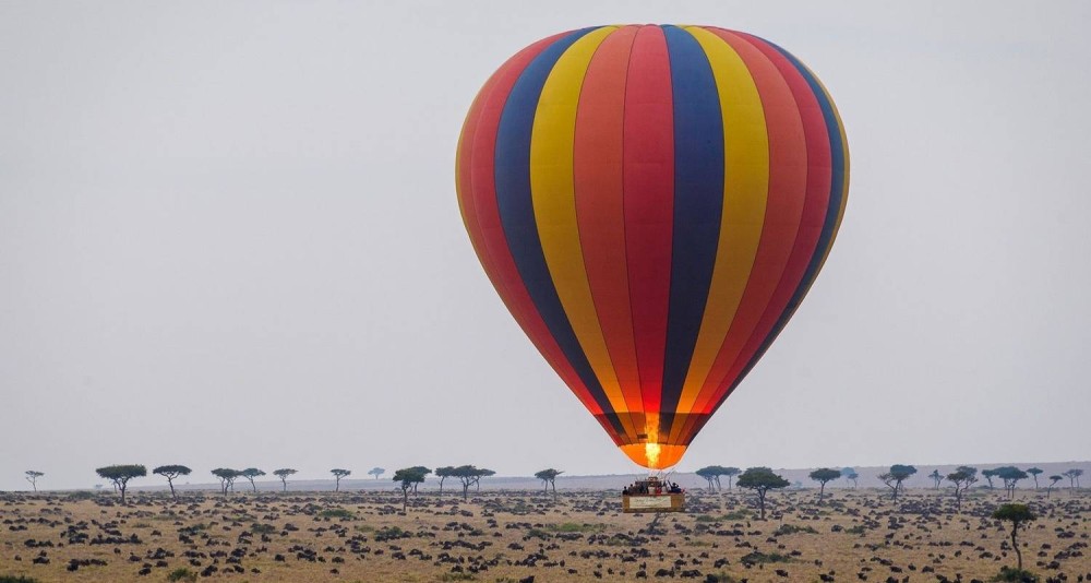 Top Activities to Experience in Masai Mara
