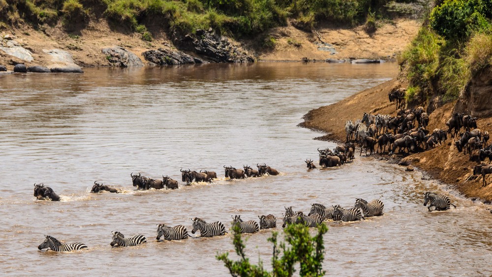 Hidden Gems in Masai Mara: Beyond the Safari