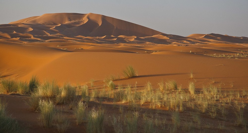 Into the Sands: The Best Desert Excursions from Ouarzazate