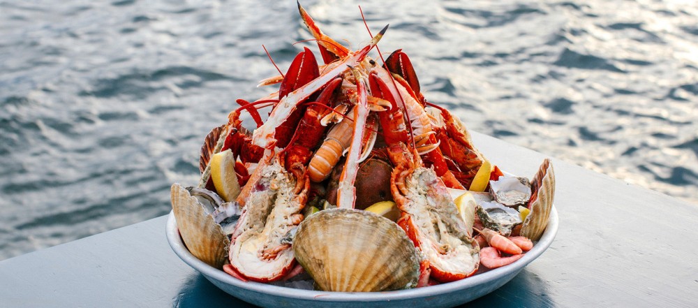 Savor the Flavors: A Food Lover’s Guide to Dahab