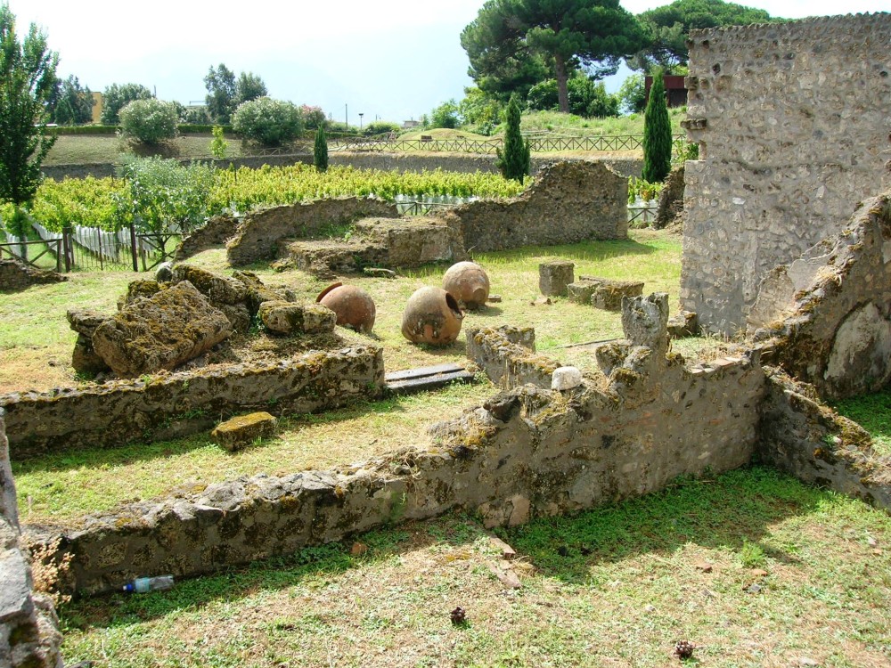 A Day in Pompeii: How to See the Highlights in 24 Hours