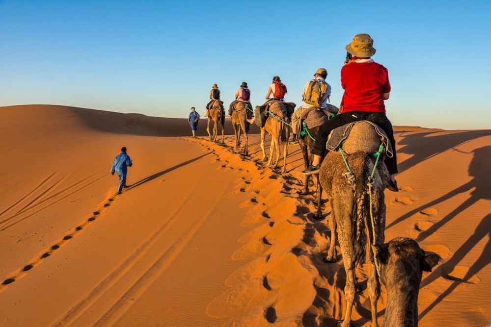 Adventure Activities in Essaouira: Surfing, Quad Biking, and More