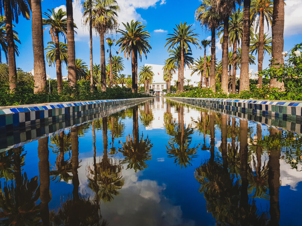Exploring the Soul of Casablanca: History, Culture, and Hidden Gems