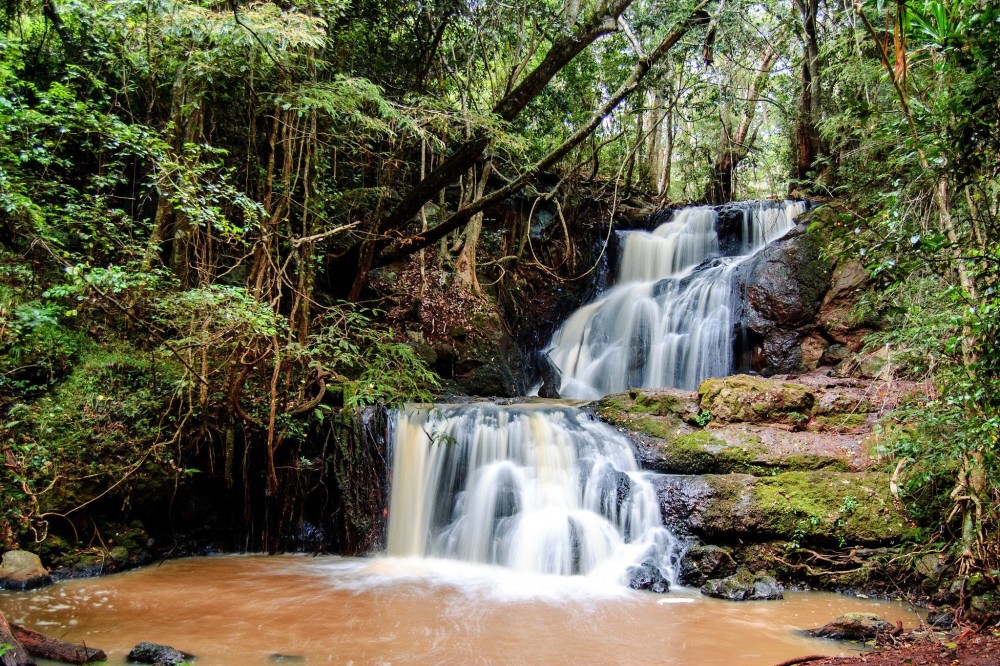 Top 10 Must-See Attractions in Nairobi for First-Time Visitors