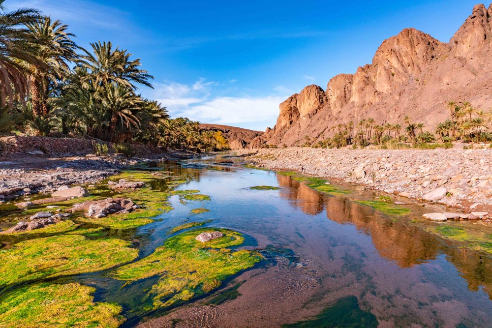 One Perfect Day in Ouarzazate: Unveiling the Desert’s Magic