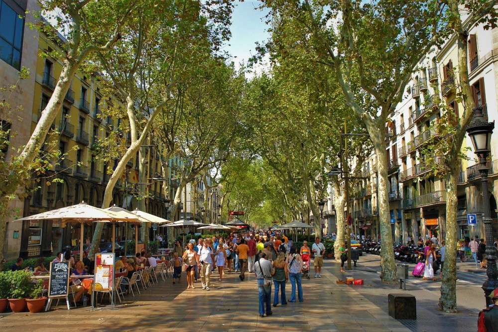 Top 5 Must-See Attractions in Barcelona for First-Time Visitors