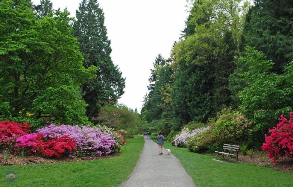Washington DC’s Best Parks and Outdoor Spaces: A Nature Lover’s Guide