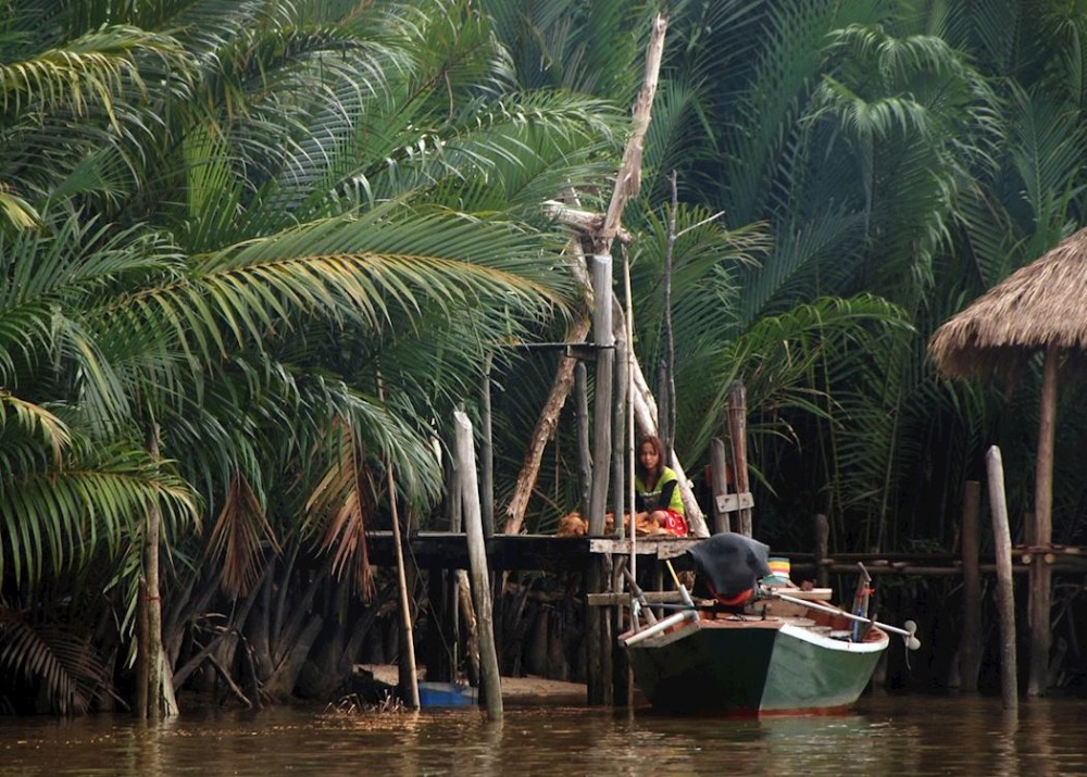 Day Trips from Phnom Penh: Exploring the Surrounding Region
