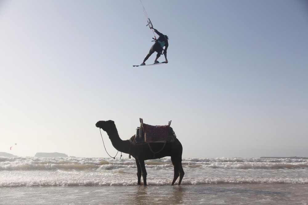 The Best Beaches in Essaouira: Sun, Surf, and Relaxation