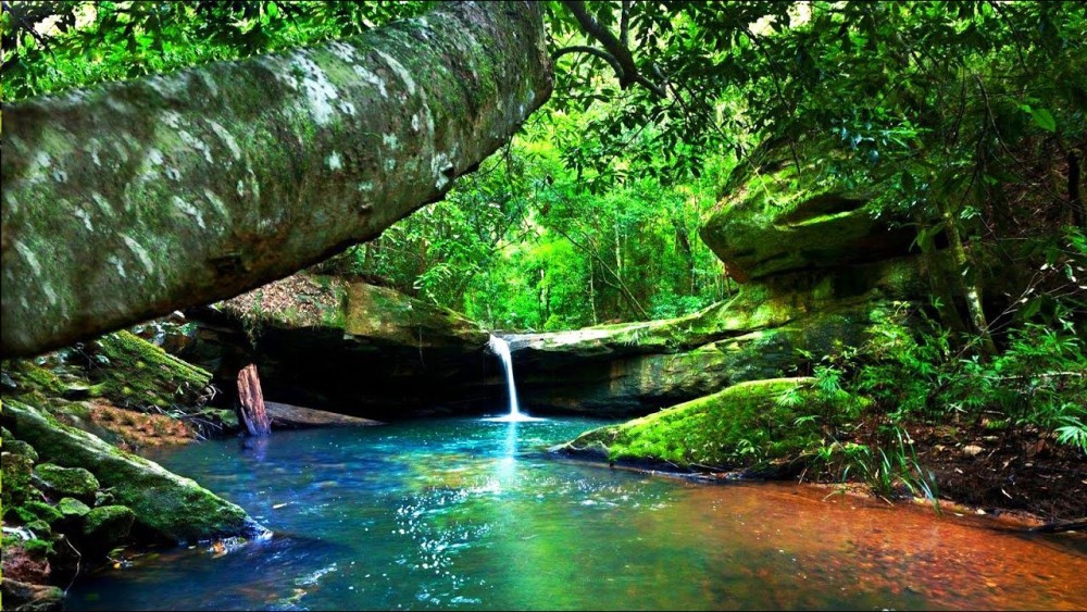 Top Things to Do in Khao Lak: Your Ultimate Adventure Awaits