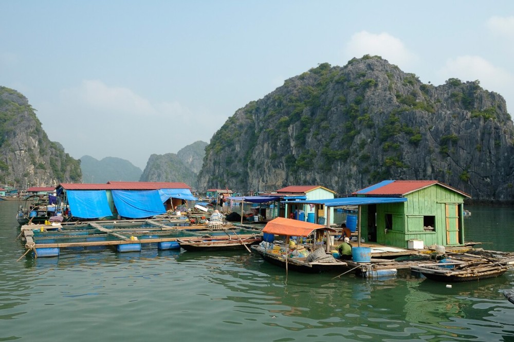 Top 5 Must-Do Activities in Ha Long Bay for First-Time Visitors