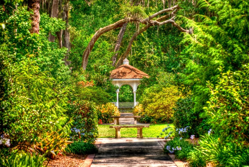 Beyond the Theme Parks: Unique Experiences in Orlando