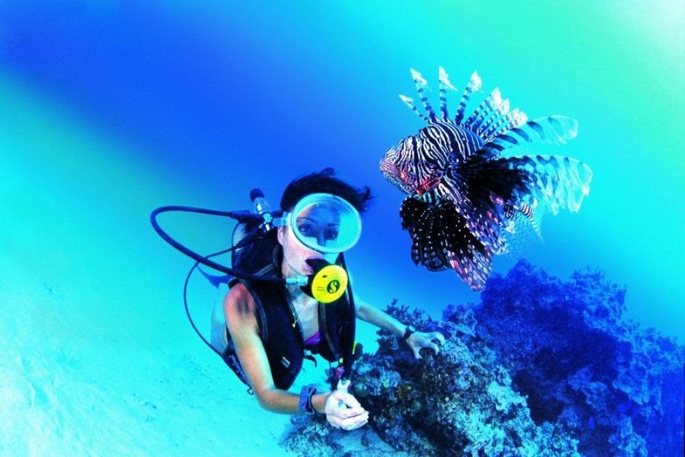Adventure Activities in Mombasa for Thrill-Seekers