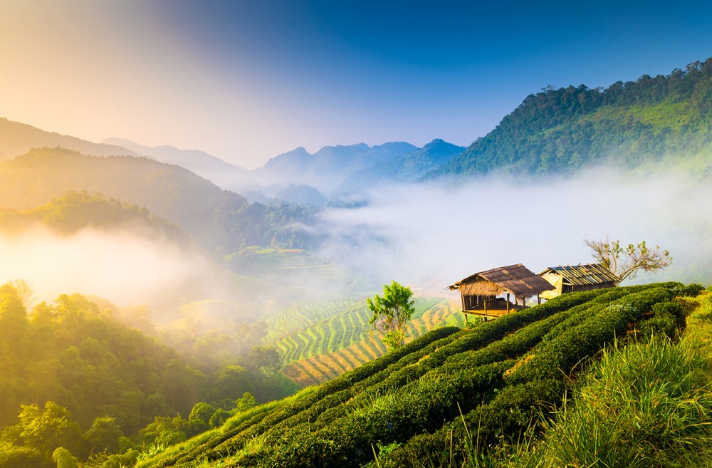 Chiang Rai Uncovered: A First-Timer’s Perfect Guide