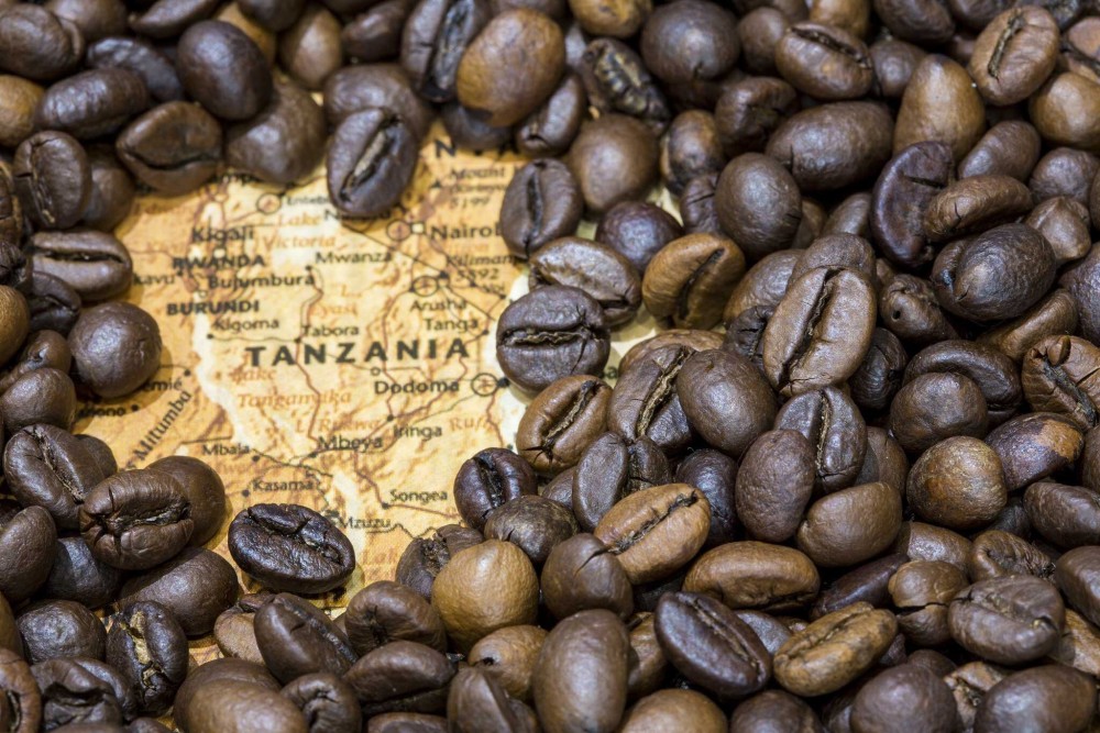 Taste of Arusha: A Food Lover’s Guide to Local Delights