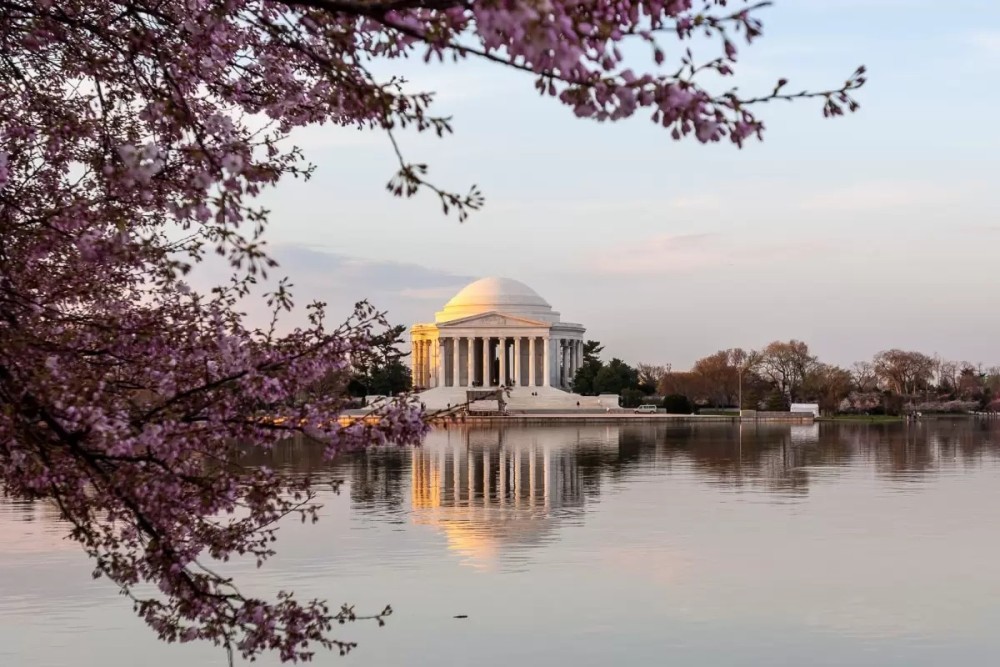 Washington DC’s Best Parks and Outdoor Spaces: A Nature Lover’s Guide