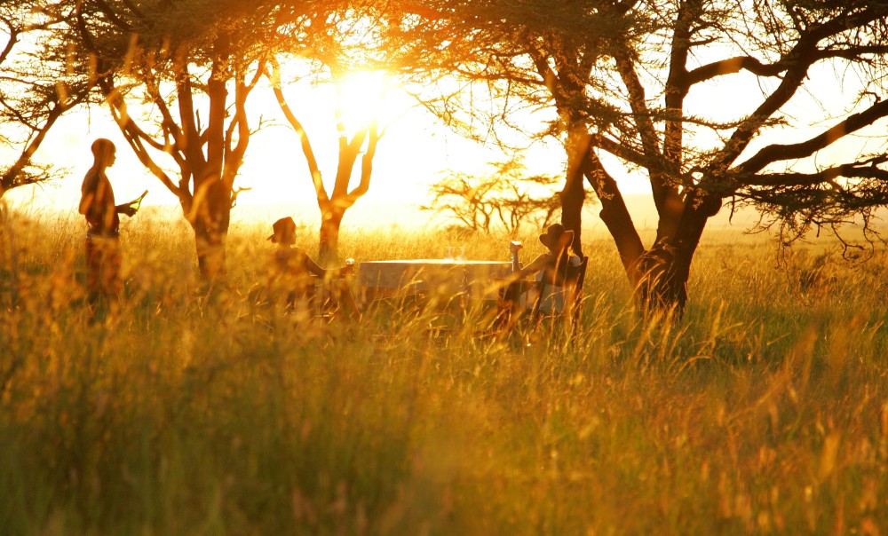 Top Activities to Experience in Masai Mara