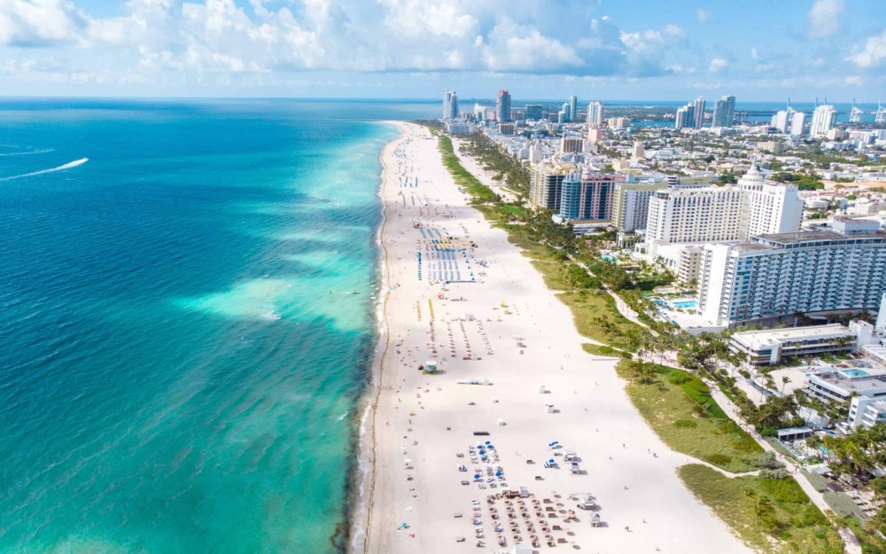 Top 5 Must-Do Activities in Miami for First-Time Visitors
