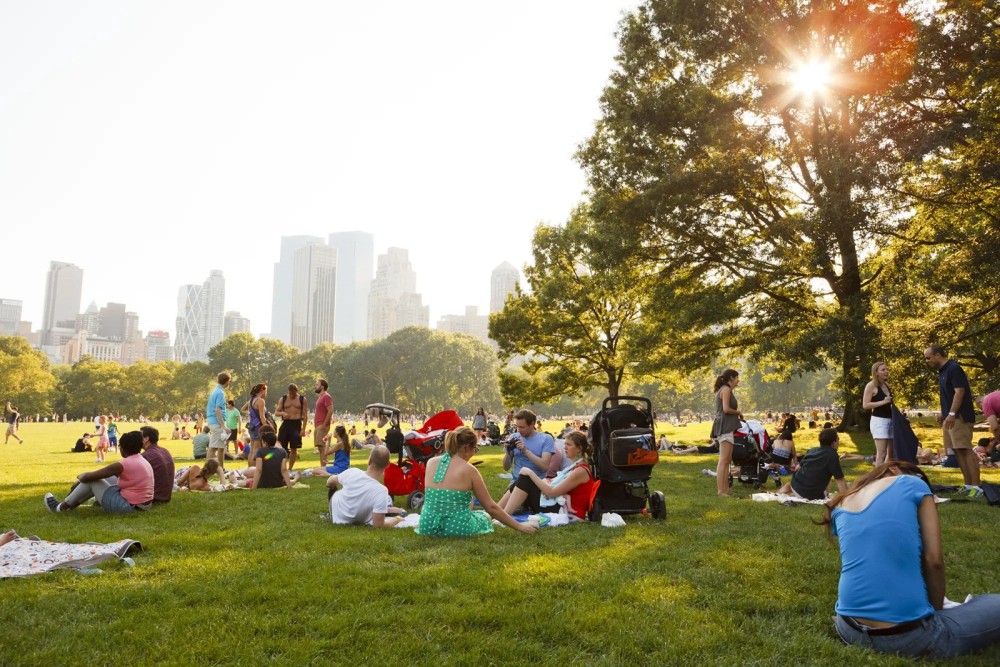 24 Hours in New York: A Perfect Itinerary for a Quick Trip