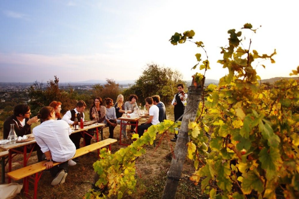 A Taste of Vienna: Must-Try Food and Drinks