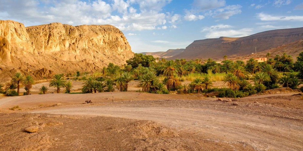 Top Things to Do in Ouarzazate: A Gateway to the Sahara