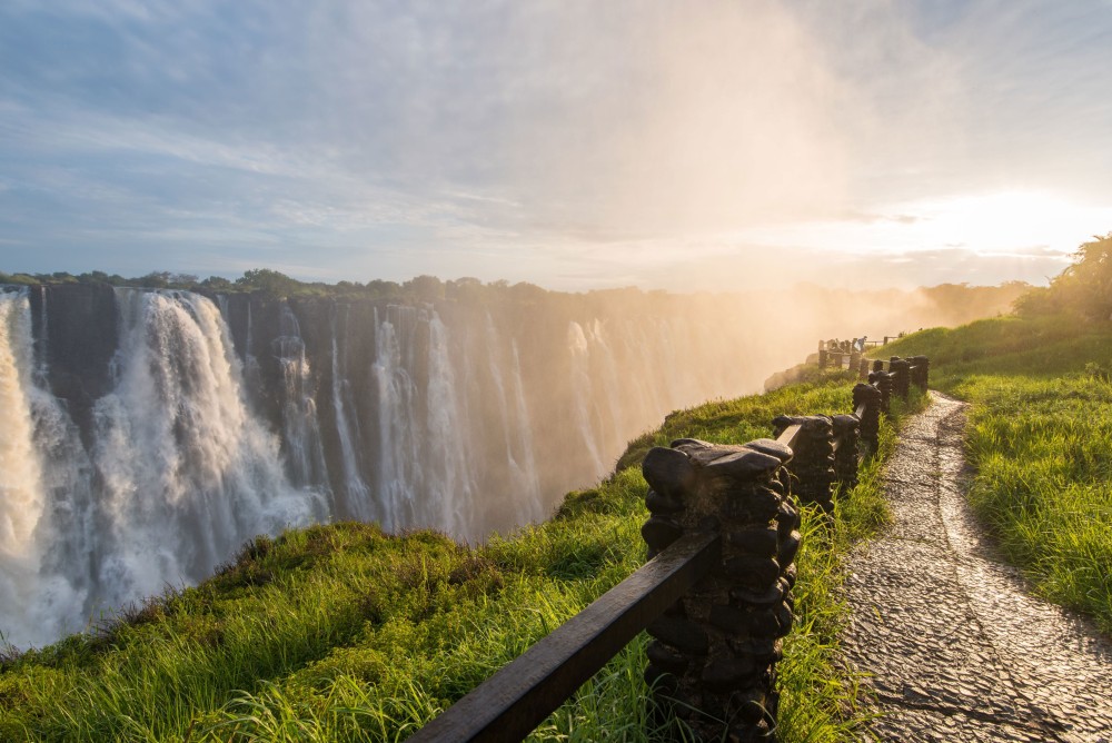 Exploring the Victoria Falls Rainforest: A Unique Ecosystem