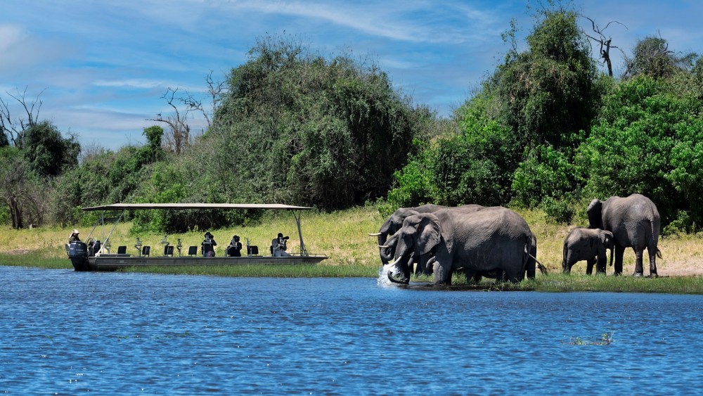 First-Time Visitors' Guide to Exploring Kasane