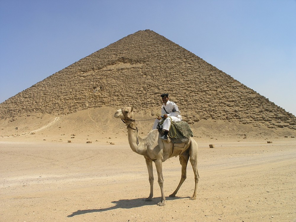The Best Day Trips from Cairo: Pyramids, Oases, and More