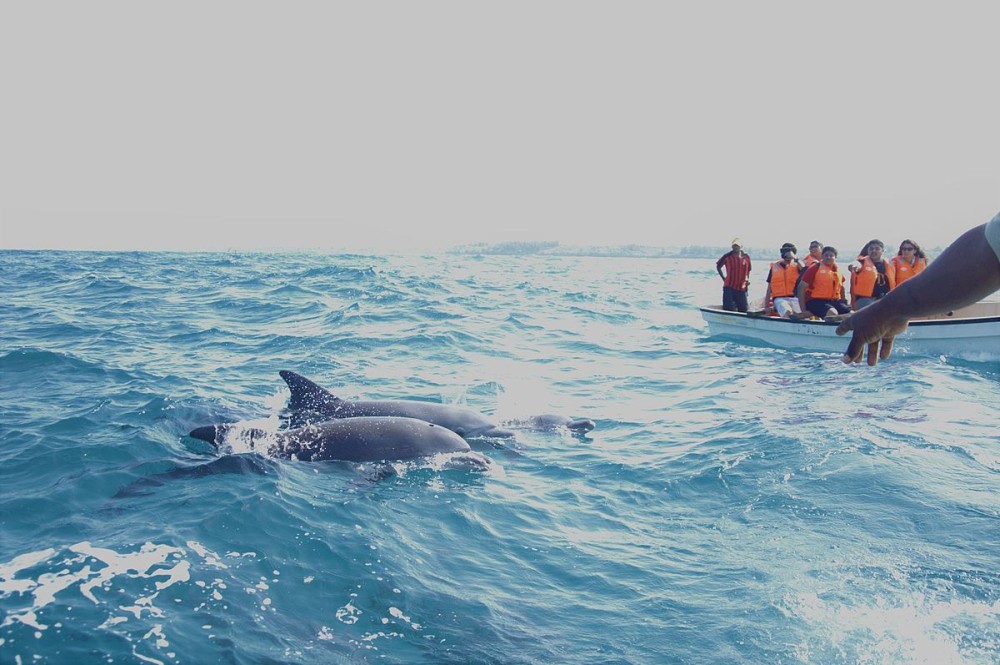 Family-Friendly Activities in Marsa Alam for All Ages