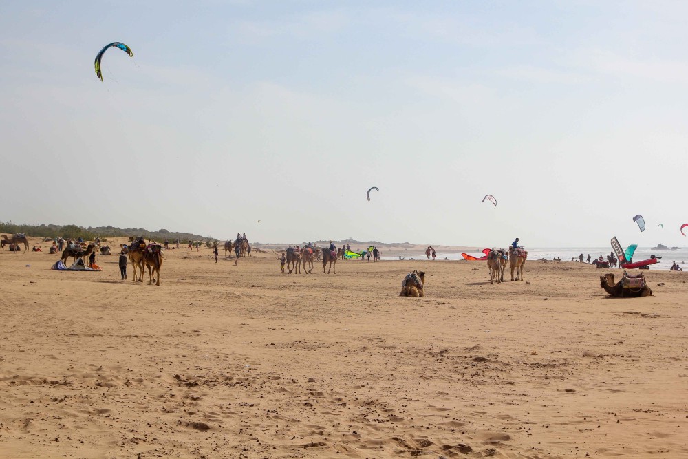 The Best Beaches in Essaouira: Sun, Surf, and Relaxation